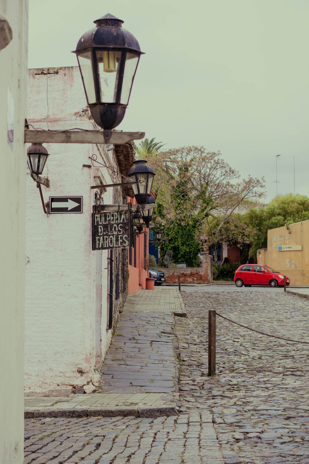 Colonia-5