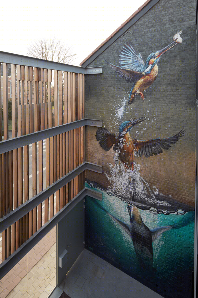 2015 年完工的“画布之屋”单家庭住宅室内设计案例-11