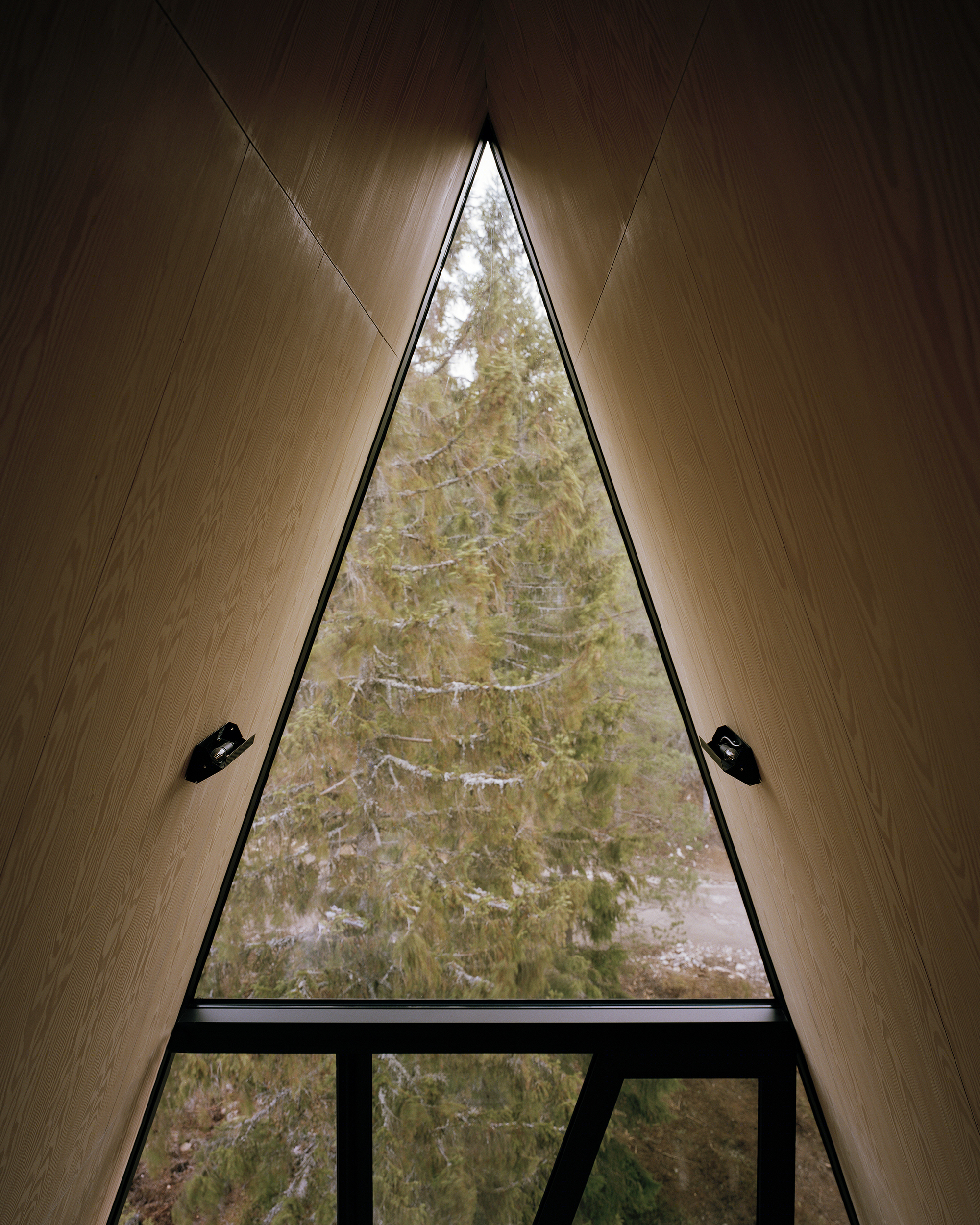 悬浮森林的神秘小屋-9