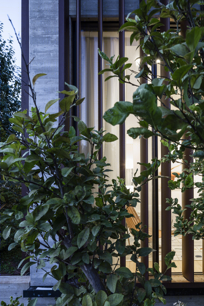 特拉维夫别墅-38