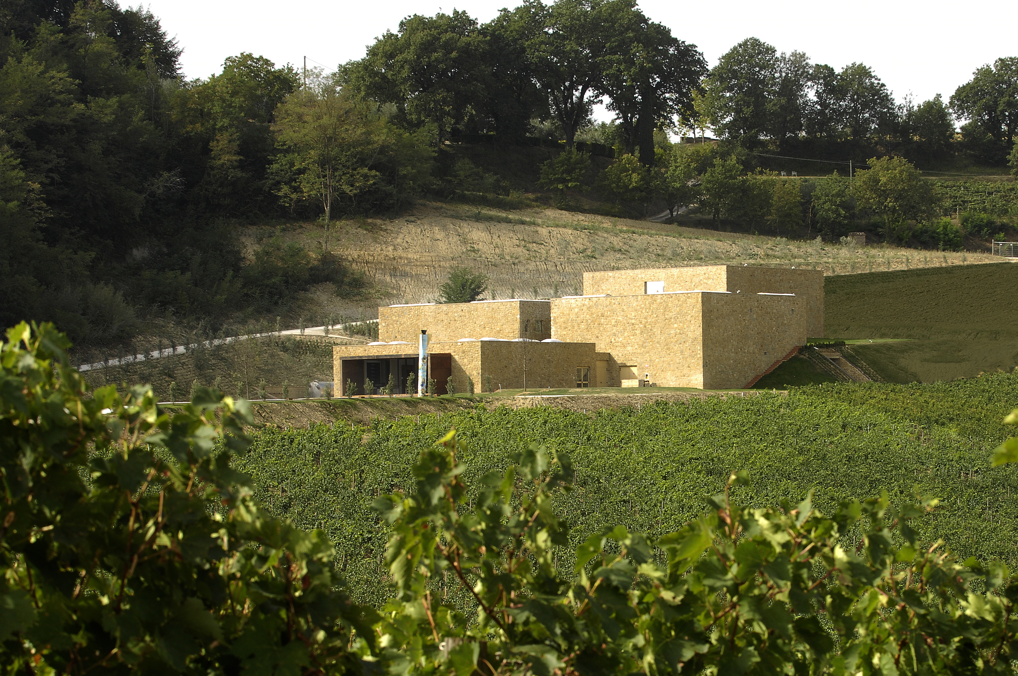 Winemaker Icario-0