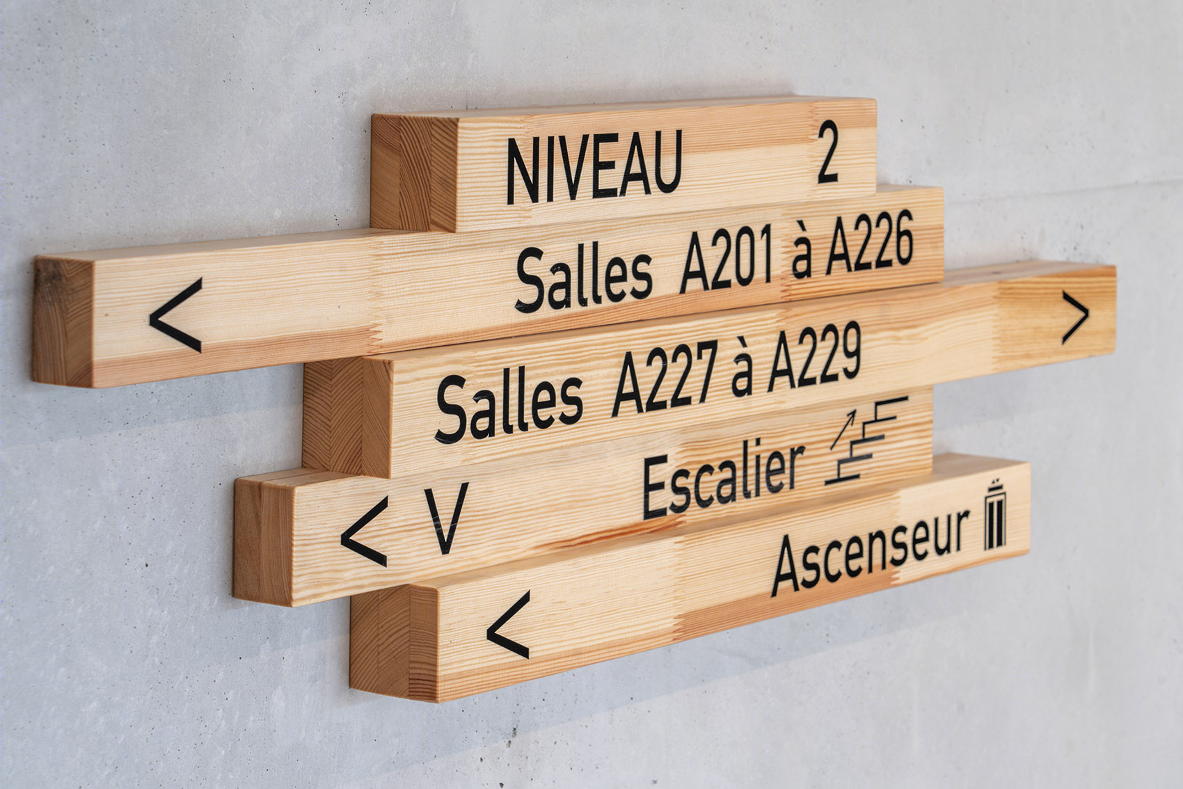 Ada Lovelace中学-34