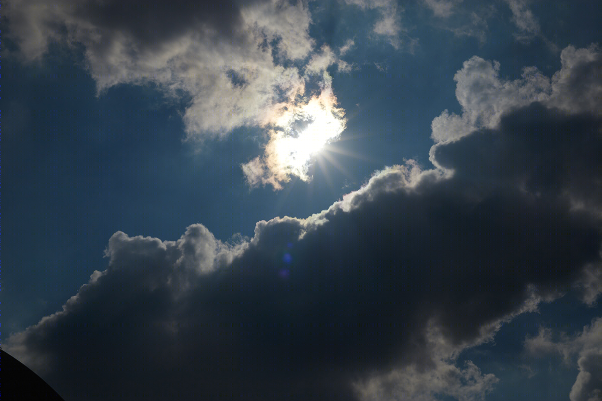 LOTUS TEMPLE丨印度-1