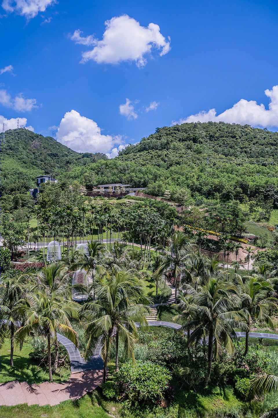万科森林湿地公园-3