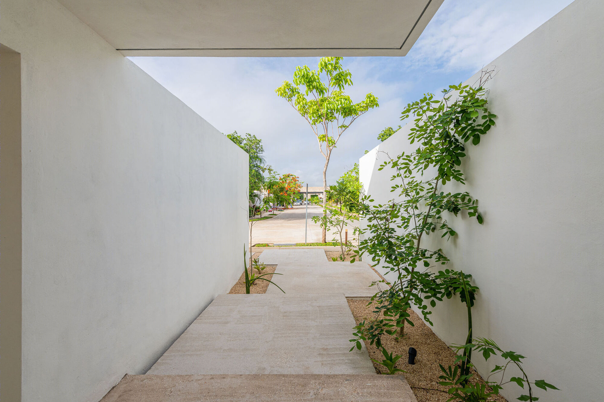 墨西哥 Yucatecan 传统风格别墅设计-1