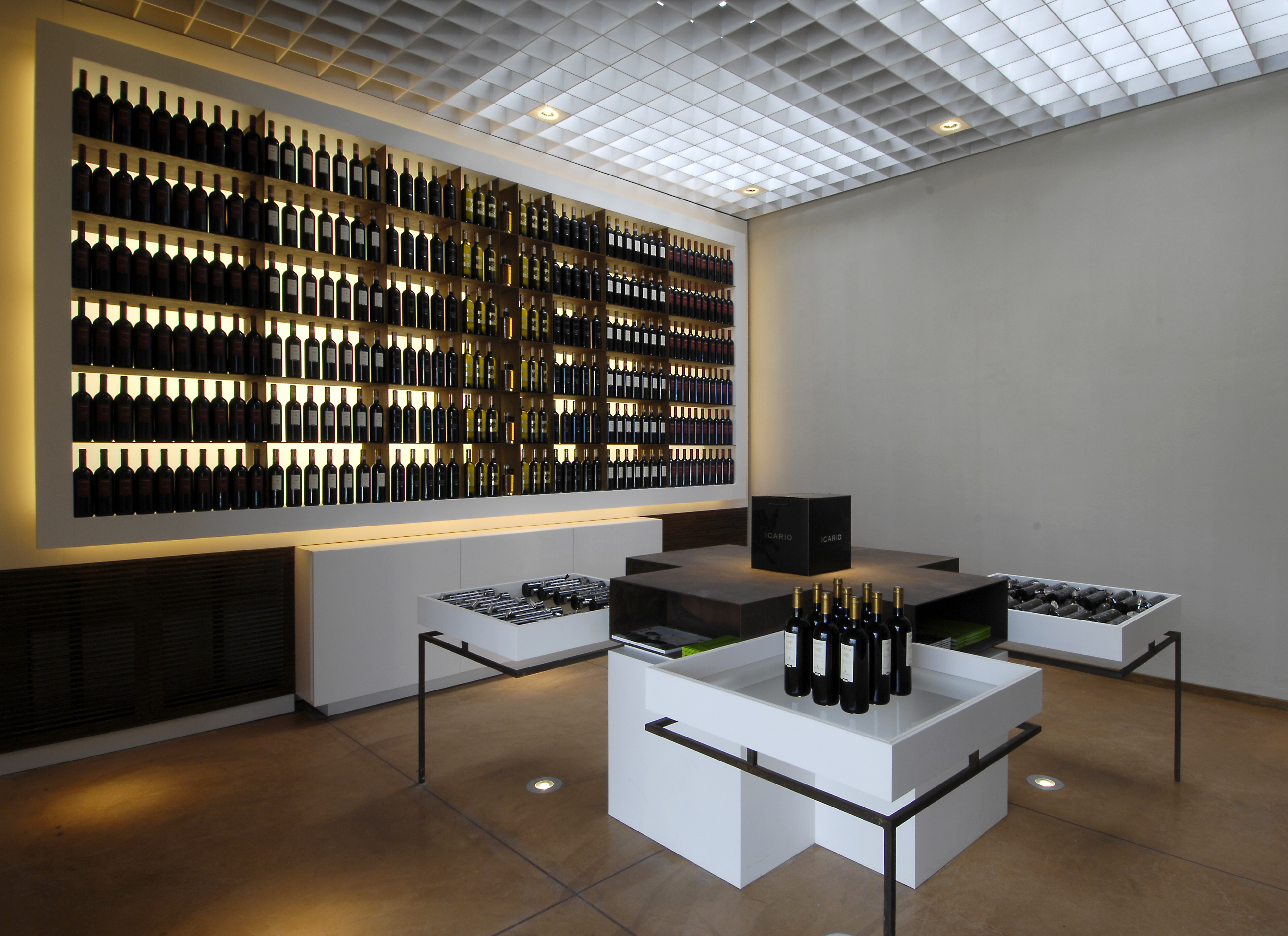 Winemaker Icario-6