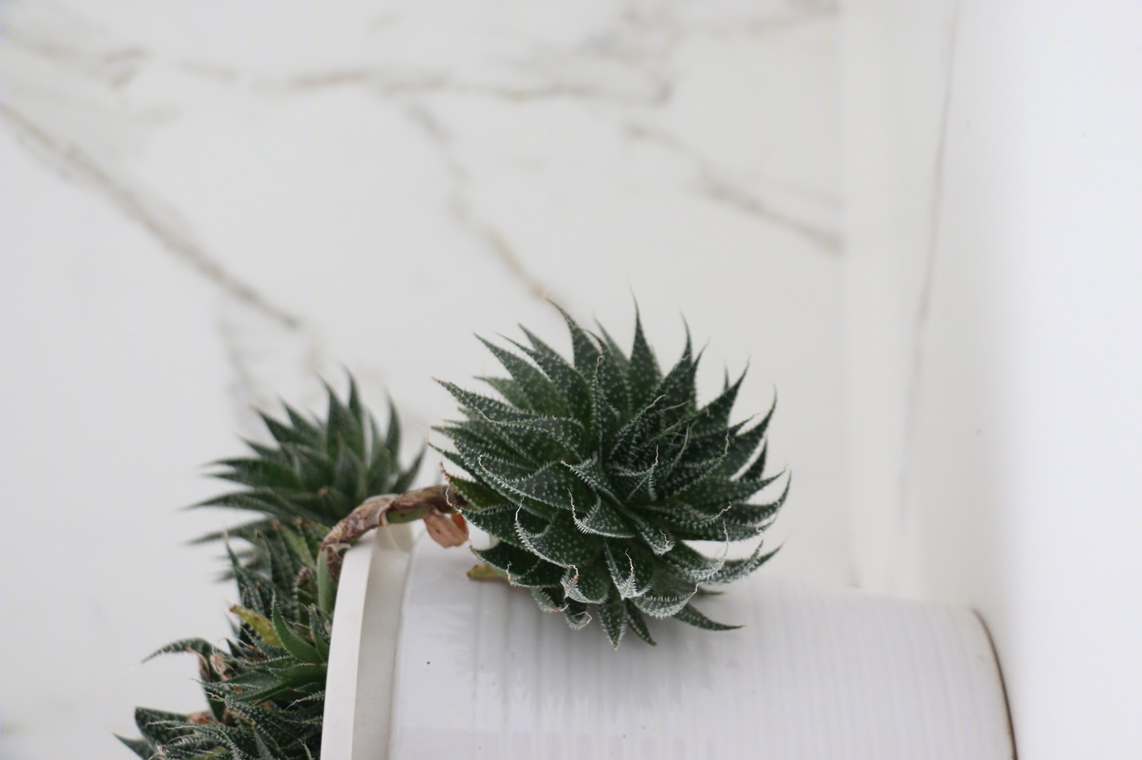 杭州玉皇山庄吴宅丨中国杭州丨不详-7