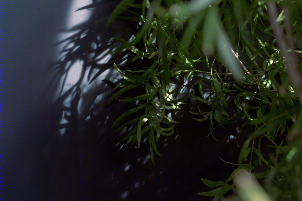 黑暗公寓-17