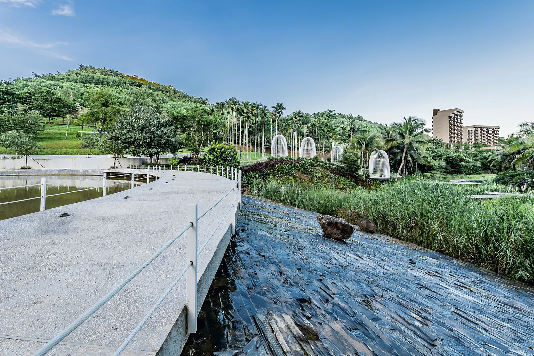 万科森林湿地公园-23