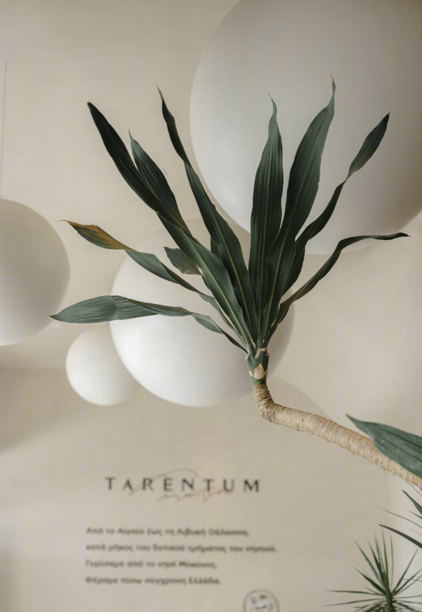 TARENTUM 萄木 · 摩天轮下的希腊风情餐厅设计丨中国深圳丨RBD DESIGN BOX-11