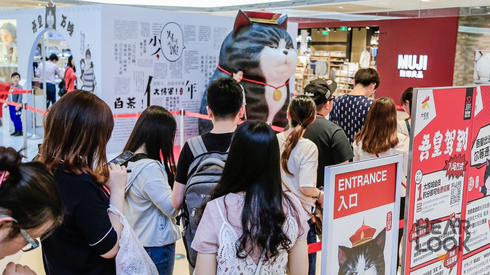 吾皇万睡全国巡展 | 辉联文化打造铲屎官的奇妙世界-5