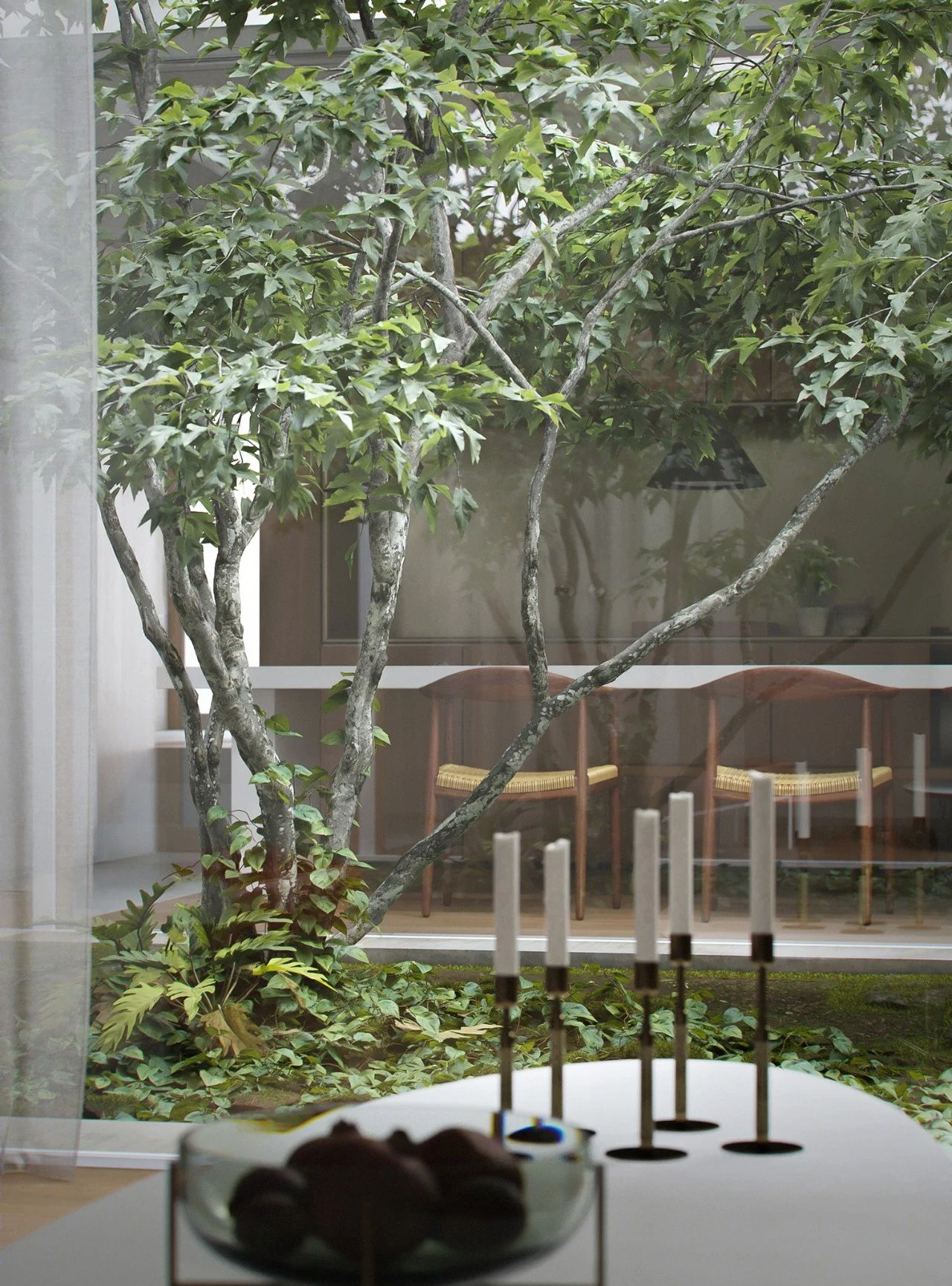 努涅斯·巴尔沃亚-59