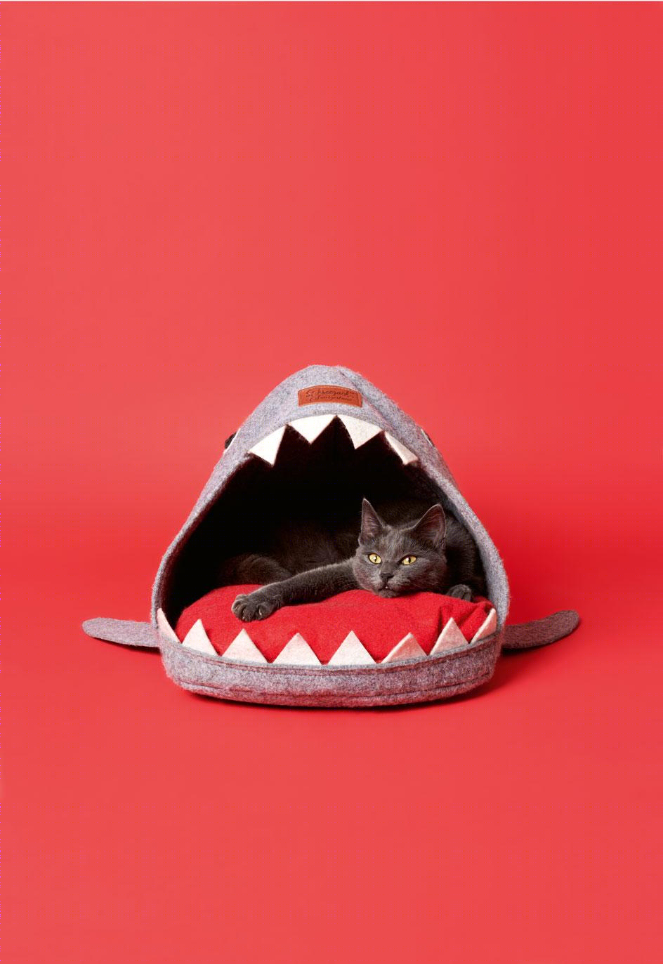 猫树 | 摄影家 Pascale Weber 的独特室内设计视角-8