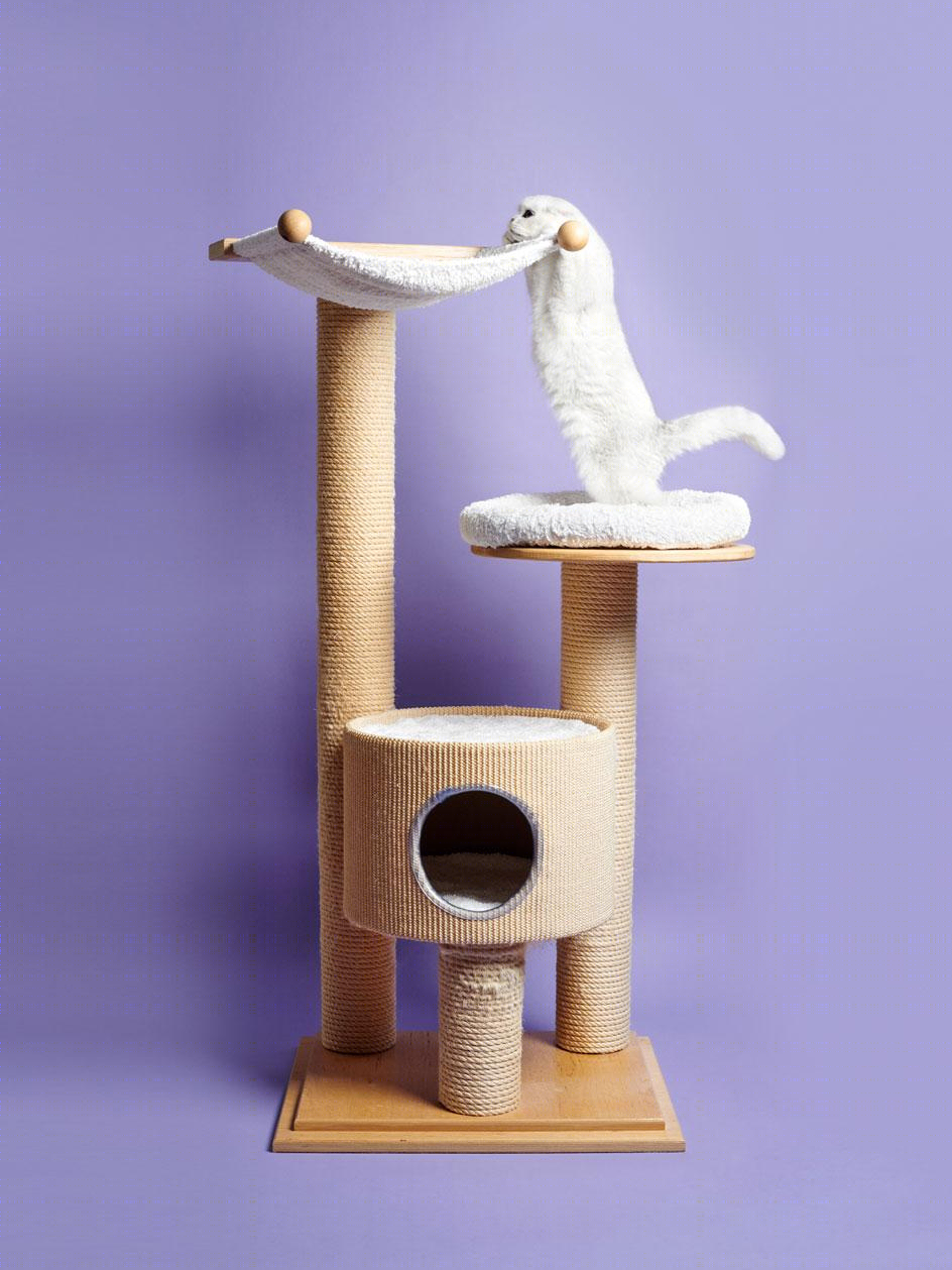 猫树 | 摄影家 Pascale Weber 的独特室内设计视角-9