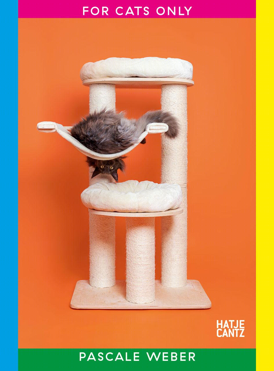 猫树 | 摄影家 Pascale Weber 的独特室内设计视角-13