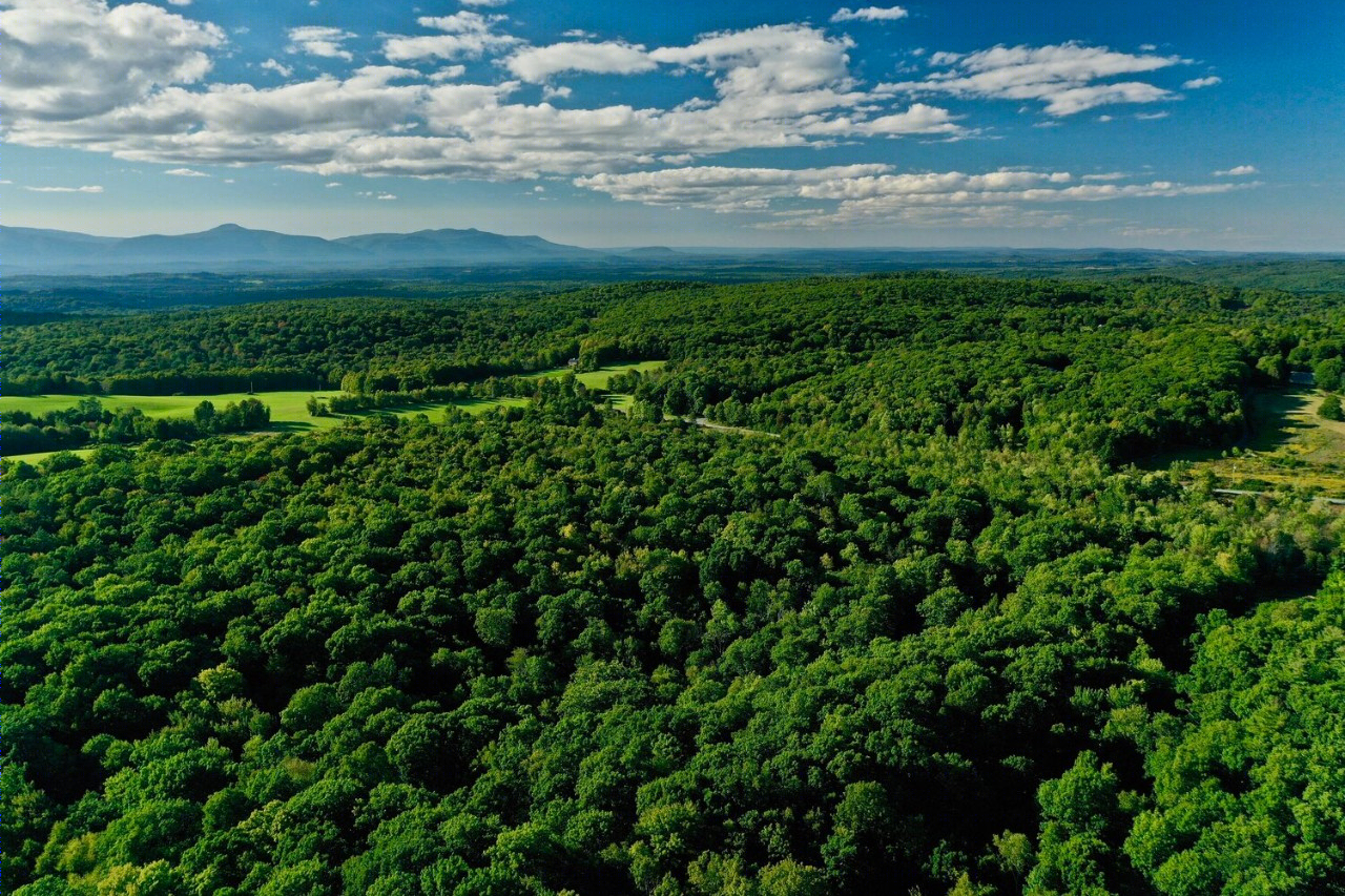 阿斯顿•马丁首个私人住宅项目“野奢”设计-9