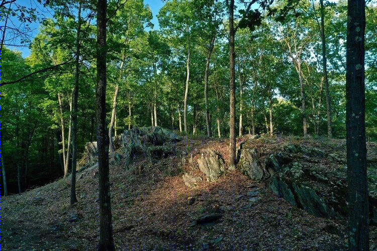 阿斯顿•马丁首个私人住宅项目“野奢”设计-10