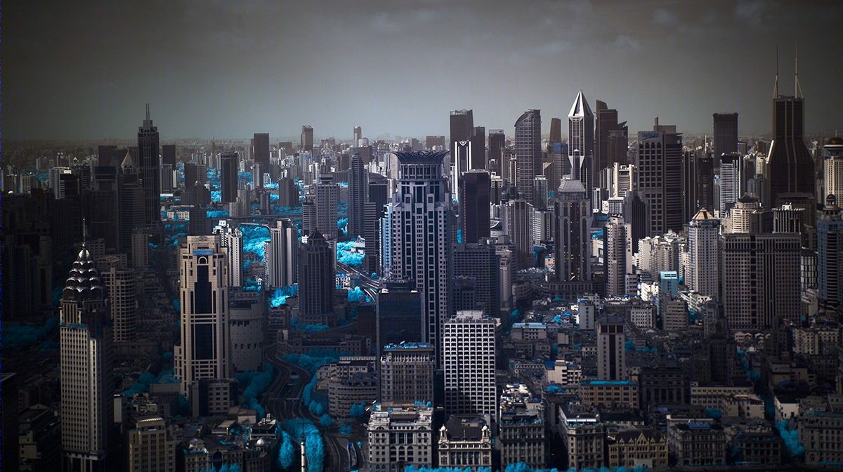 红外上海（INFRARED SHANGHAI）-6