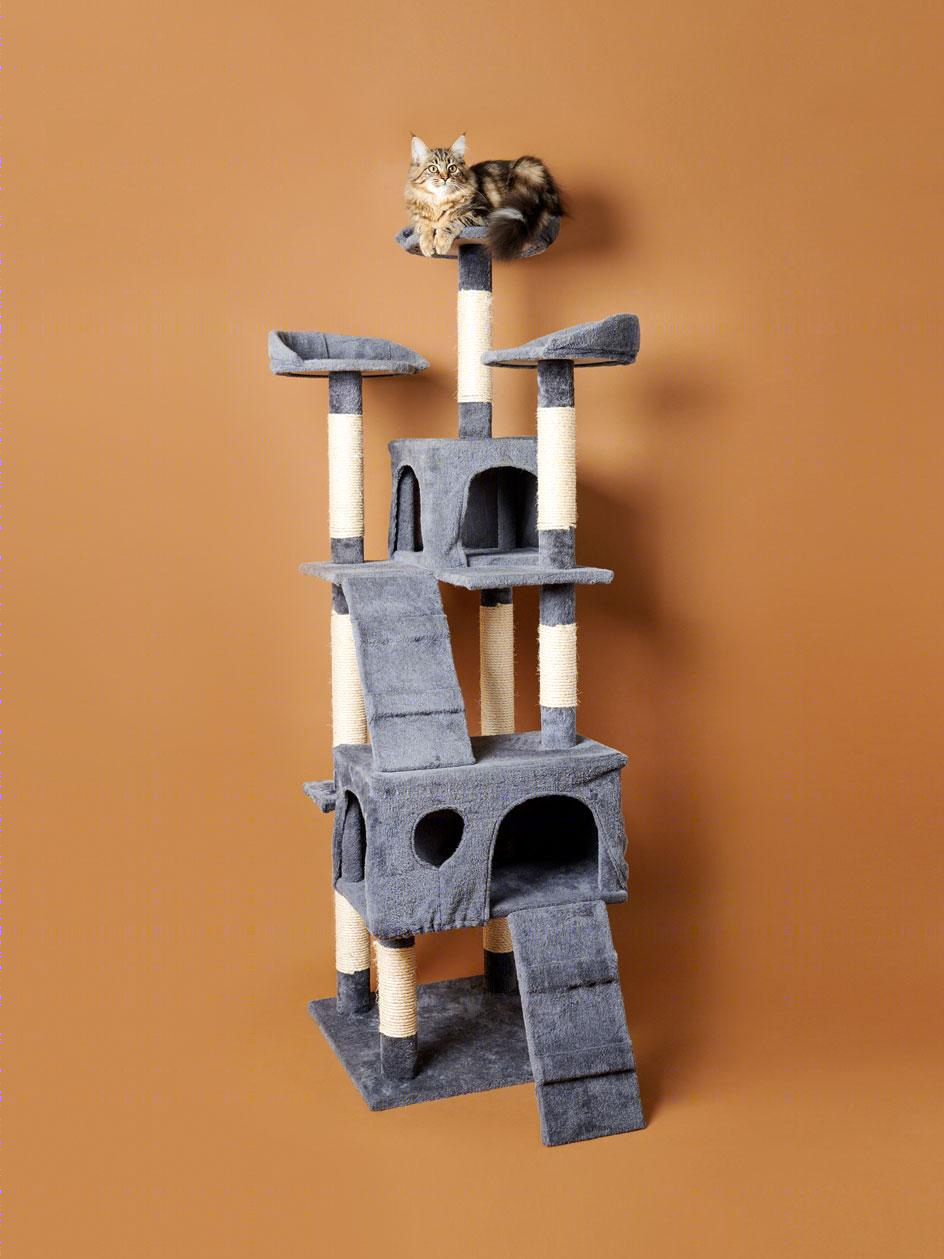 猫树 | 摄影家 Pascale Weber 的独特室内设计视角-15