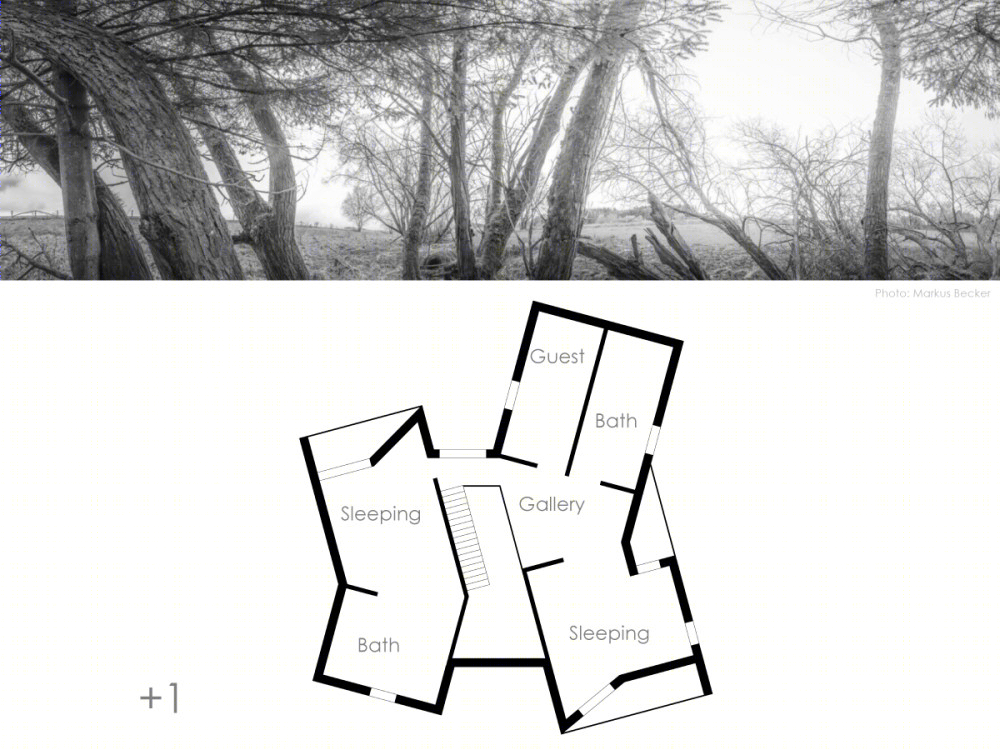 柏林 2017 年建成的私人别墅-3