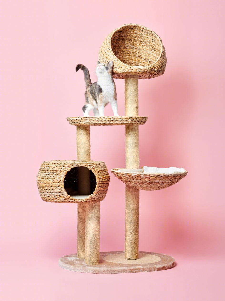 猫树 | 摄影家 Pascale Weber 的独特室内设计视角-17