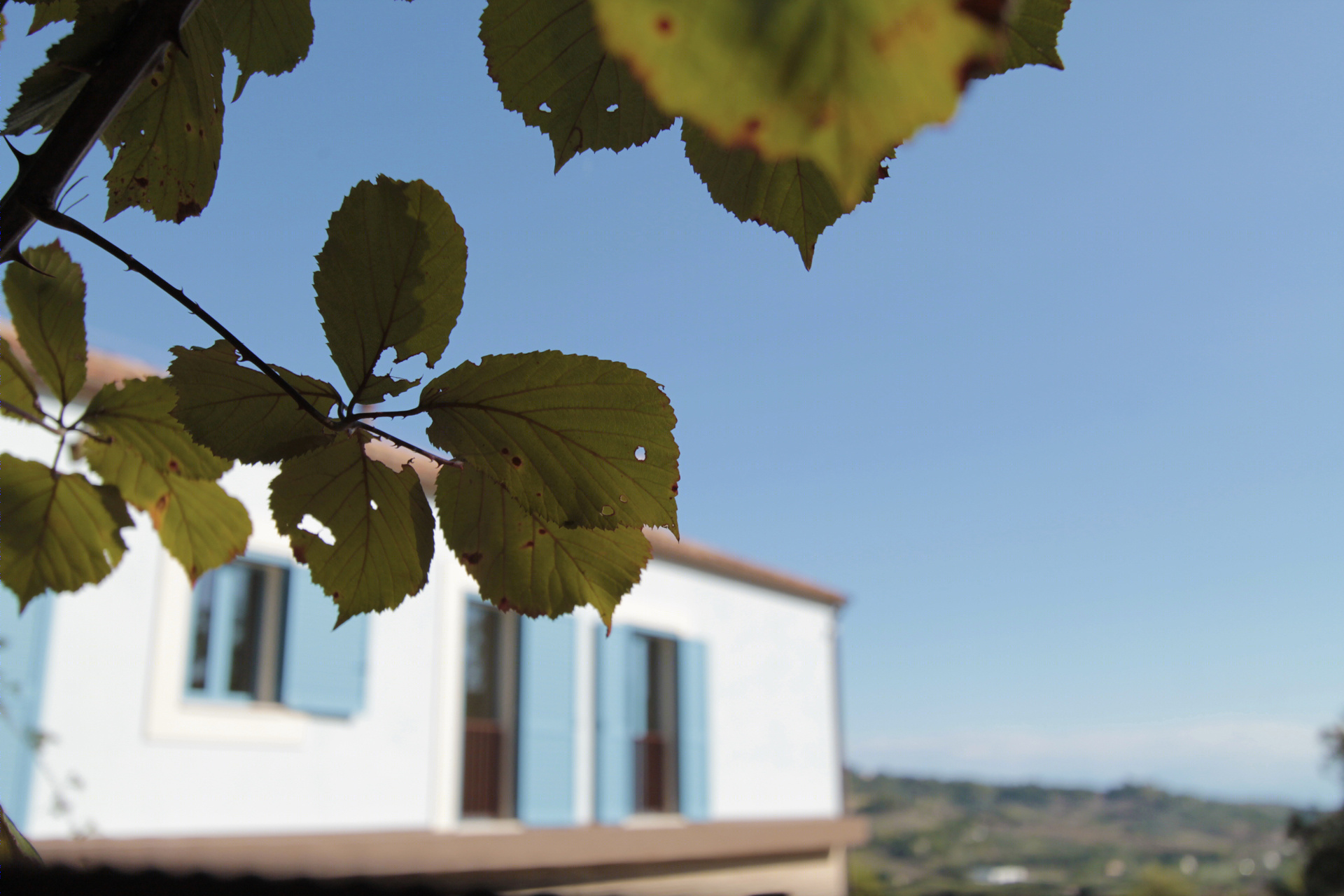 古宅新生，海景乡村家园梦-0