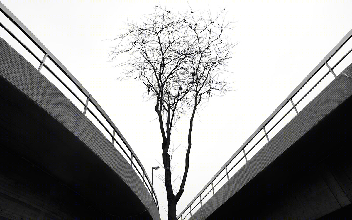 Fotografik-9