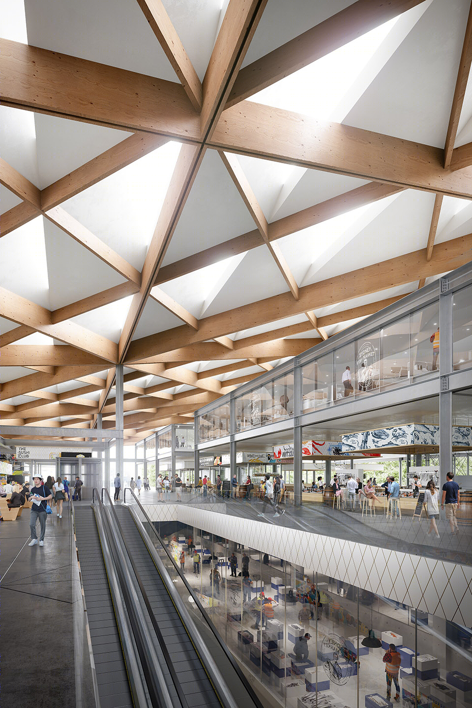 悉尼打造南半球最大鱼市场,3XN 事务所操刀设计-22