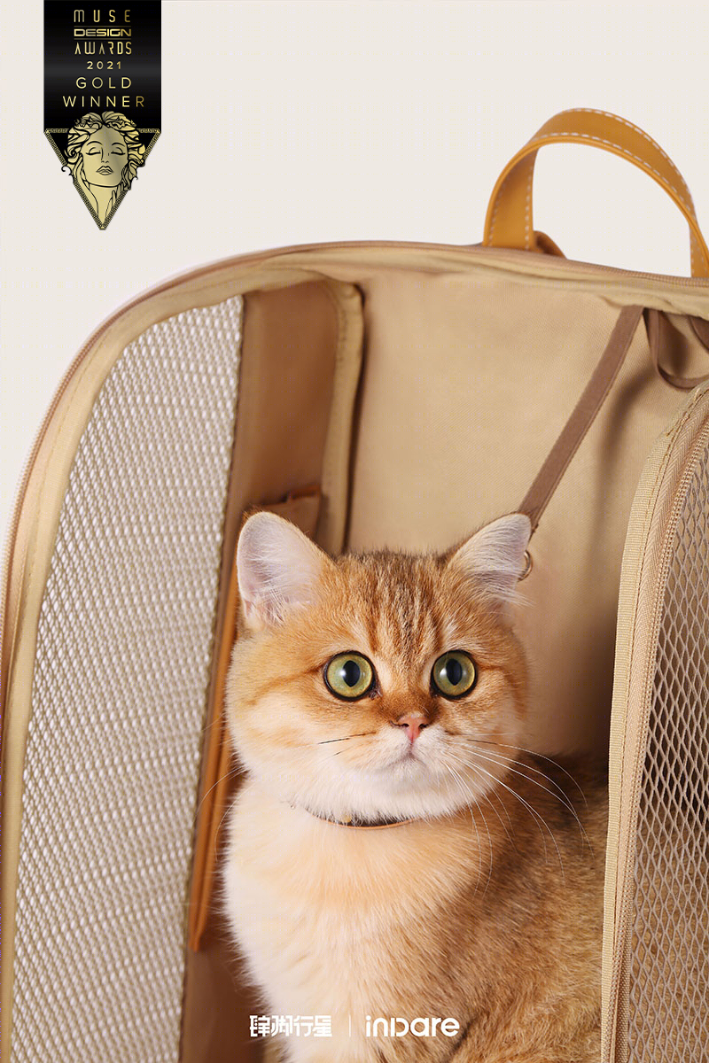 inDare 十一月获奖&上新案例展示-60