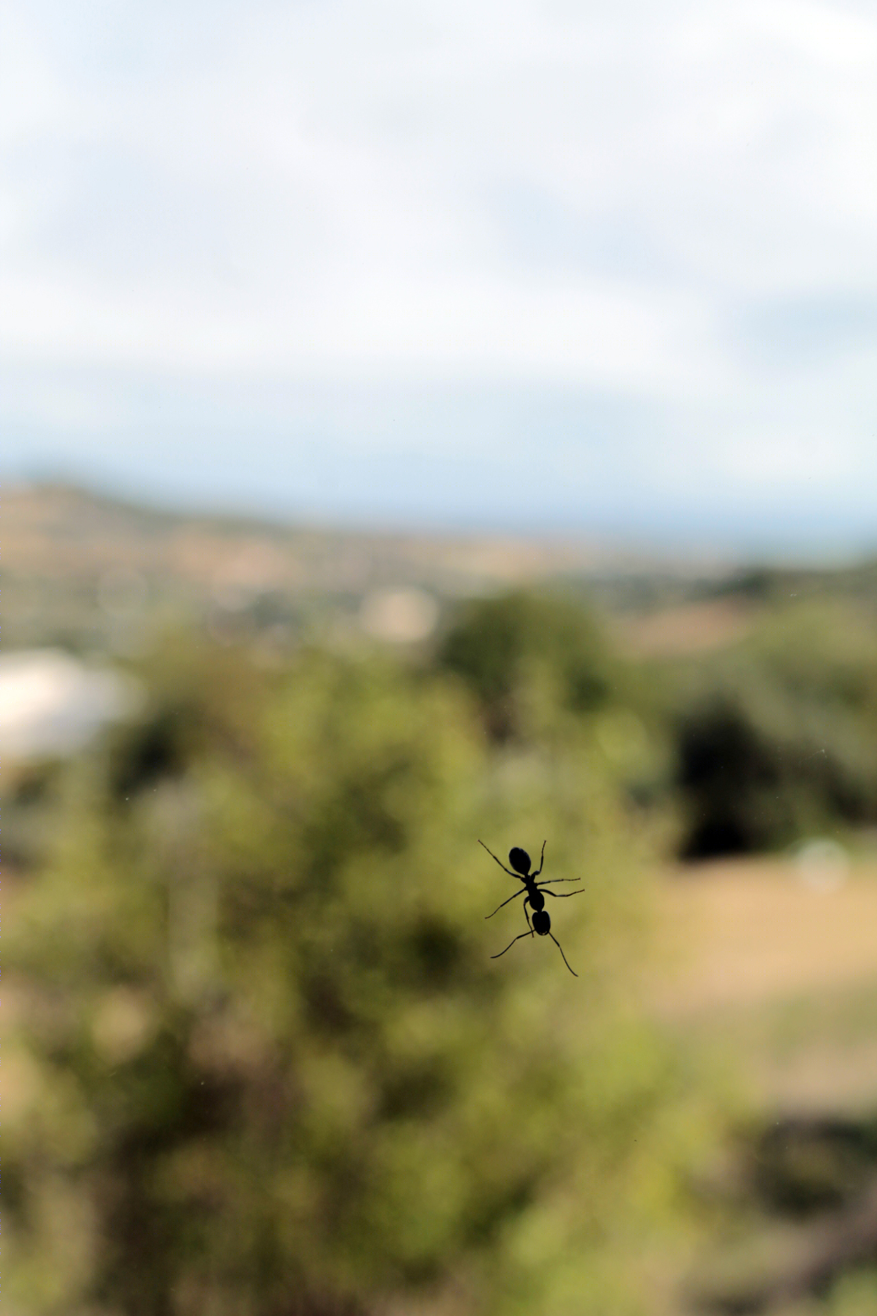 古宅新生，海景乡村家园梦-6
