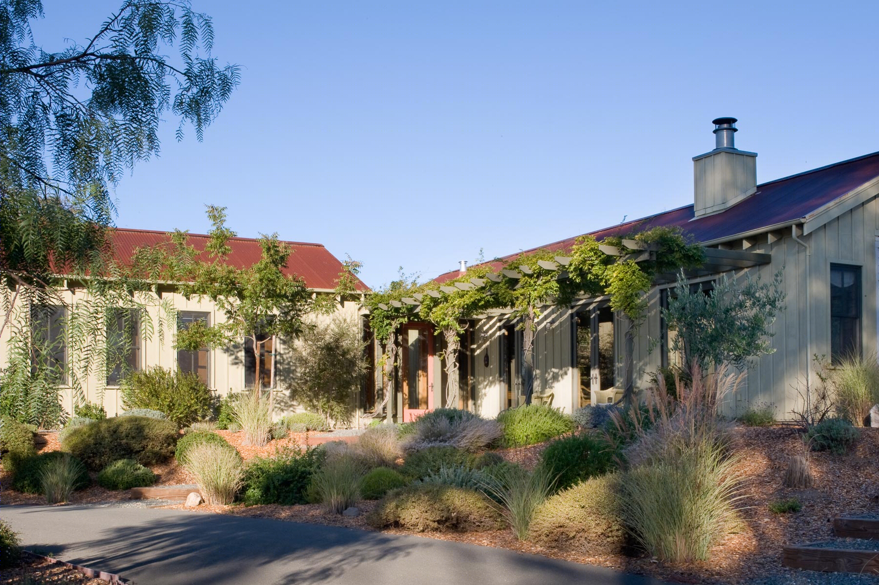 葡萄园中的现代乡村别墅 | John Lum Architecture 的 Pickering 项目-1