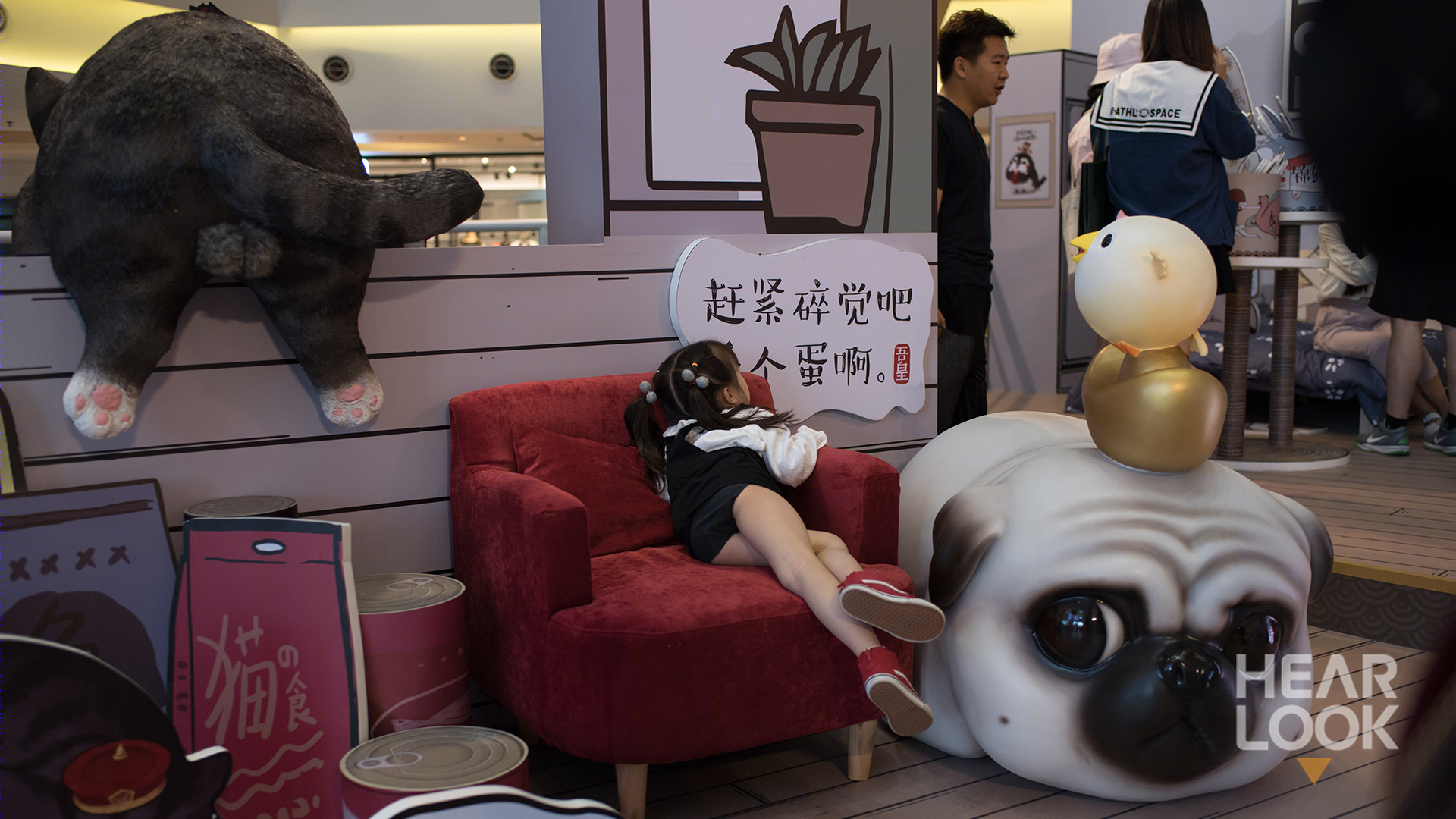 吾皇万睡全国巡展 | 辉联文化打造铲屎官的奇妙世界-16
