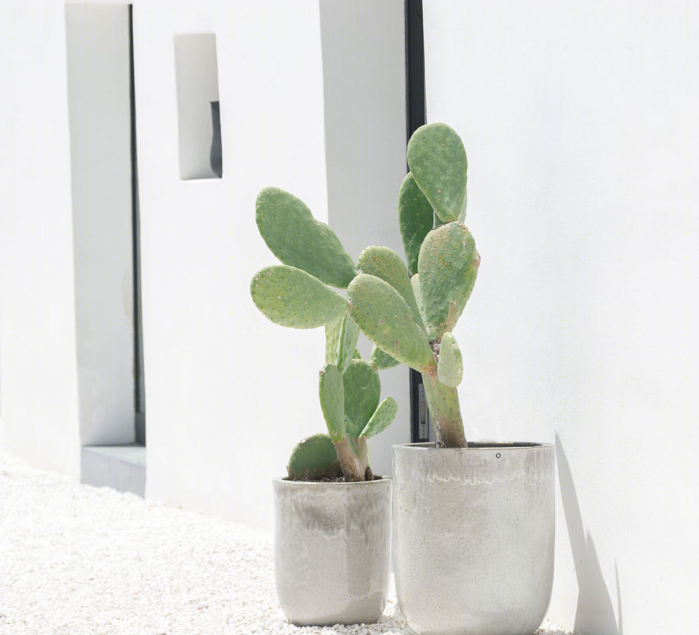 意大利普利亚切利度假别墅-21