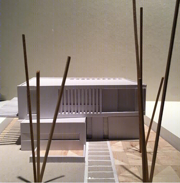 "TIMBO HOUSE——阳光与自然的共生"-12