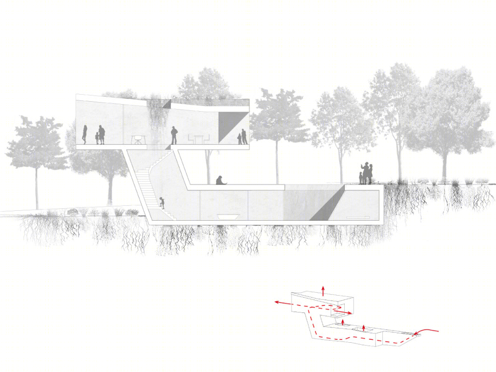 融入自然的开放之家-8