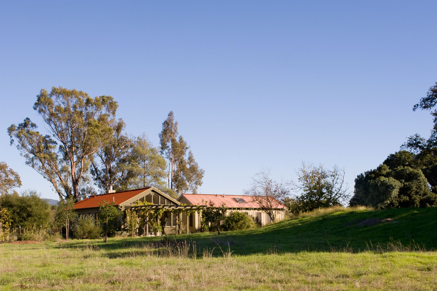 葡萄园中的现代乡村别墅 | John Lum Architecture 的 Pickering 项目-6