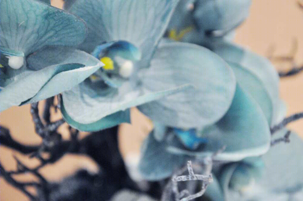 城市锦上样板间-- 现代简约风格设计-3