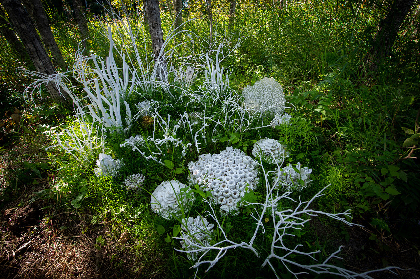 2020 国际花园节-28