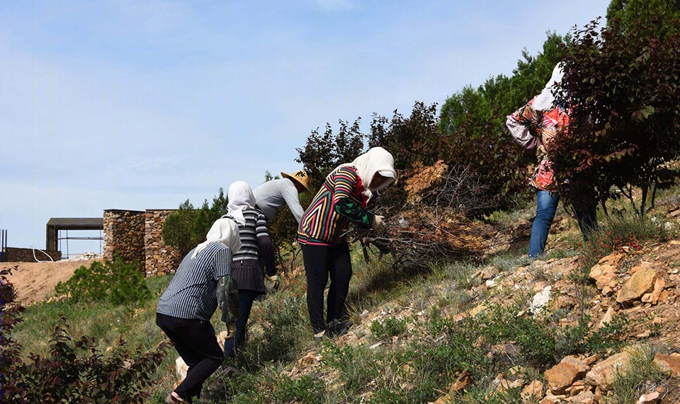 敖包山顶公园-36