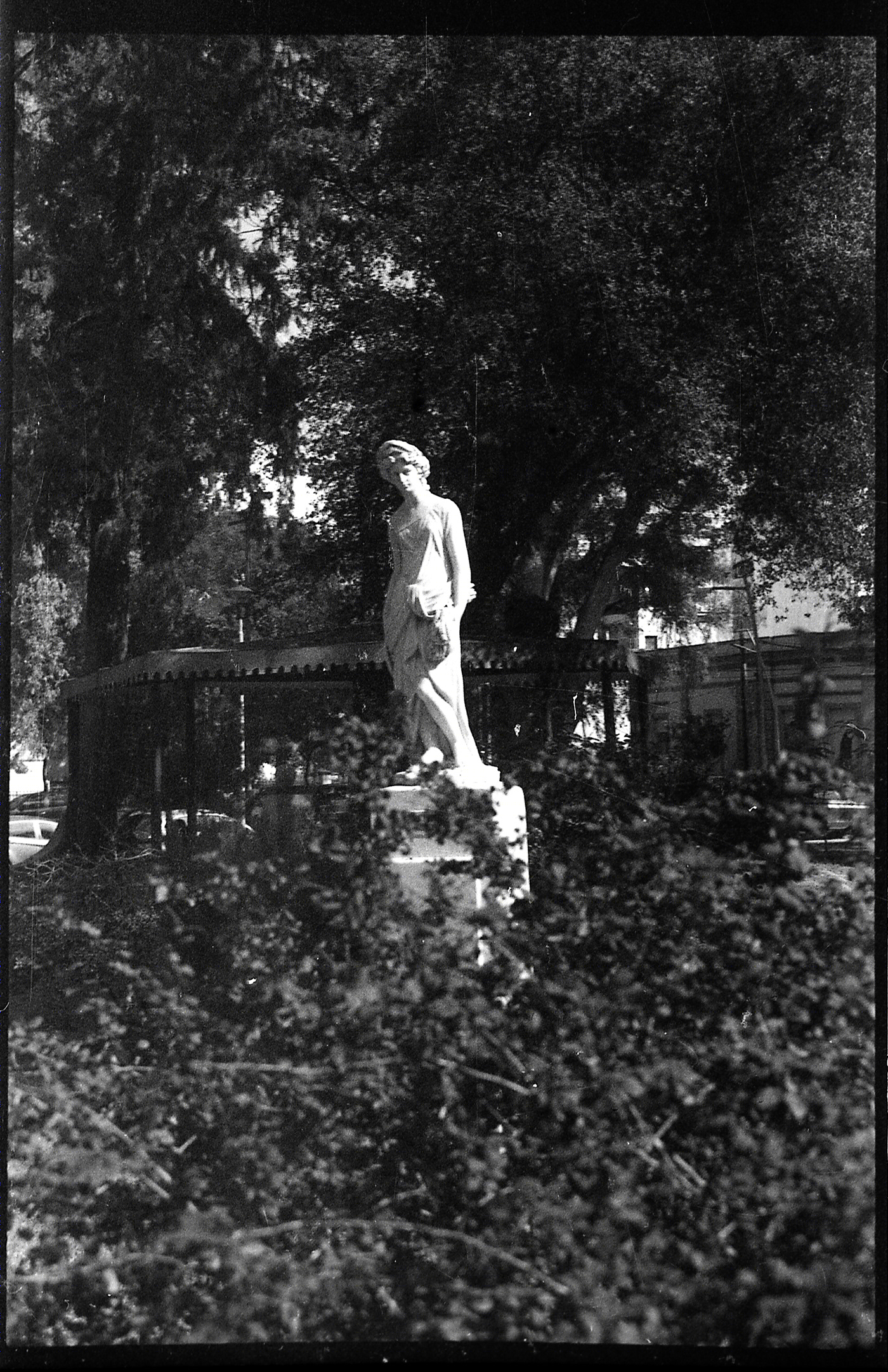 AGFA APX-0