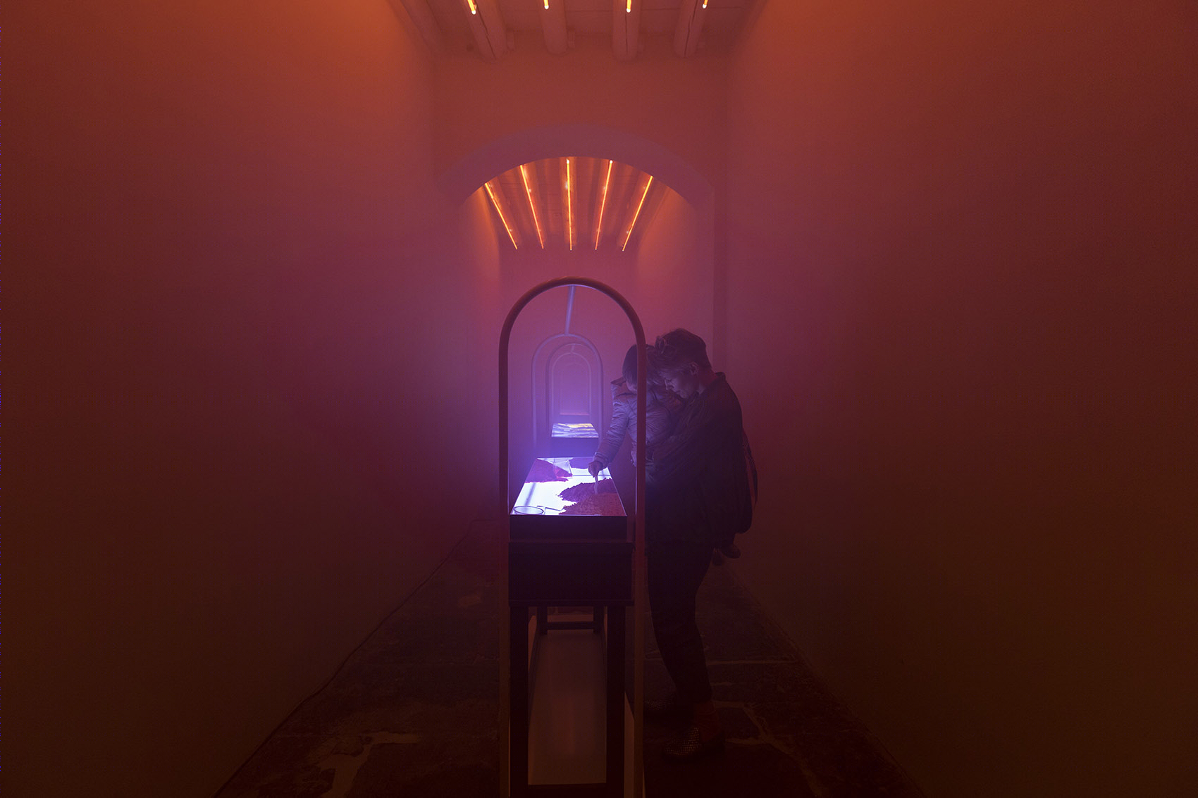 色彩奇异之旅 | ALYSI 温室中的“COLOUR | UNKNOWN”展览-19