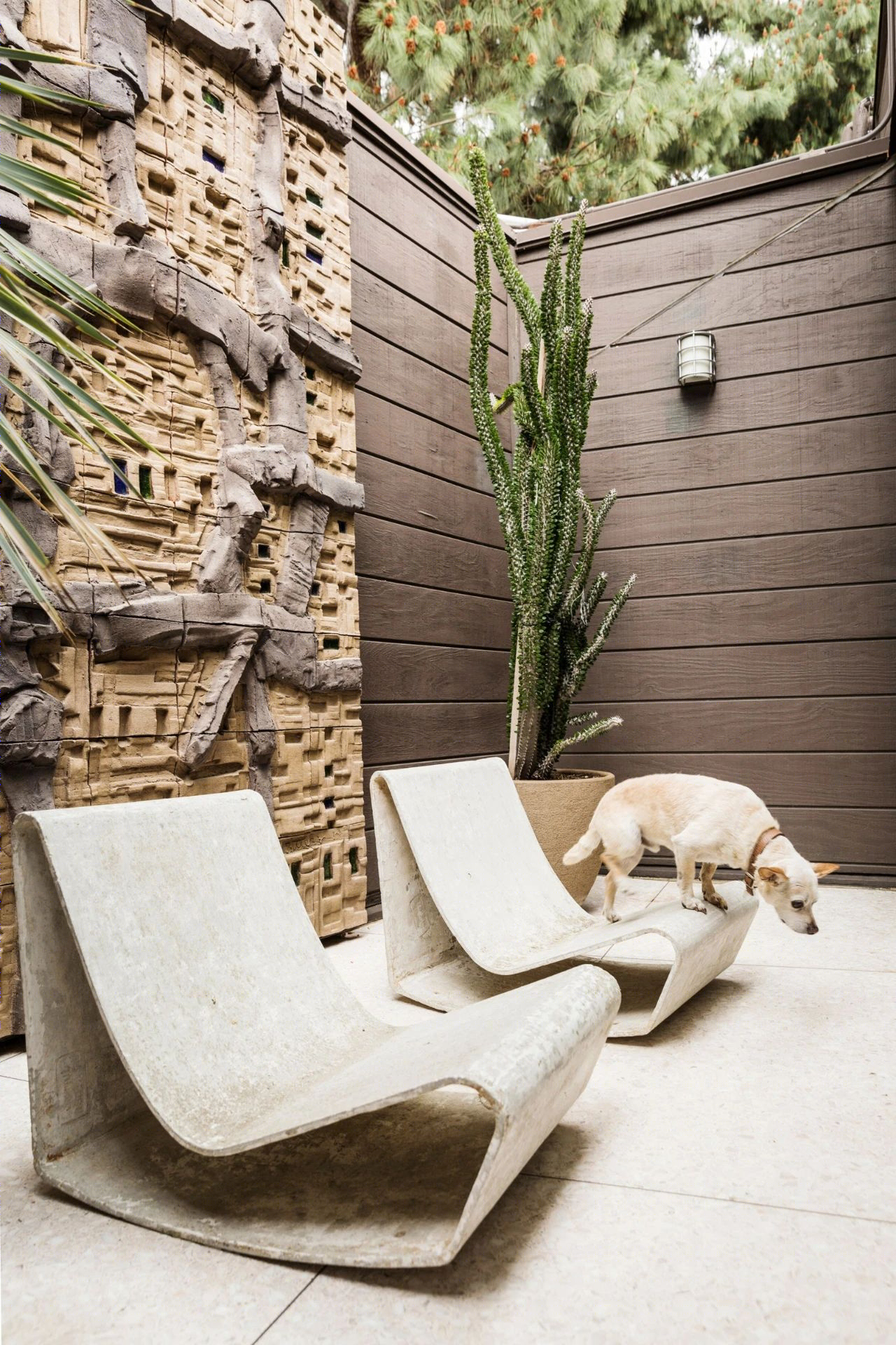 罗宾·特尼世纪中叶绿洲之家-18