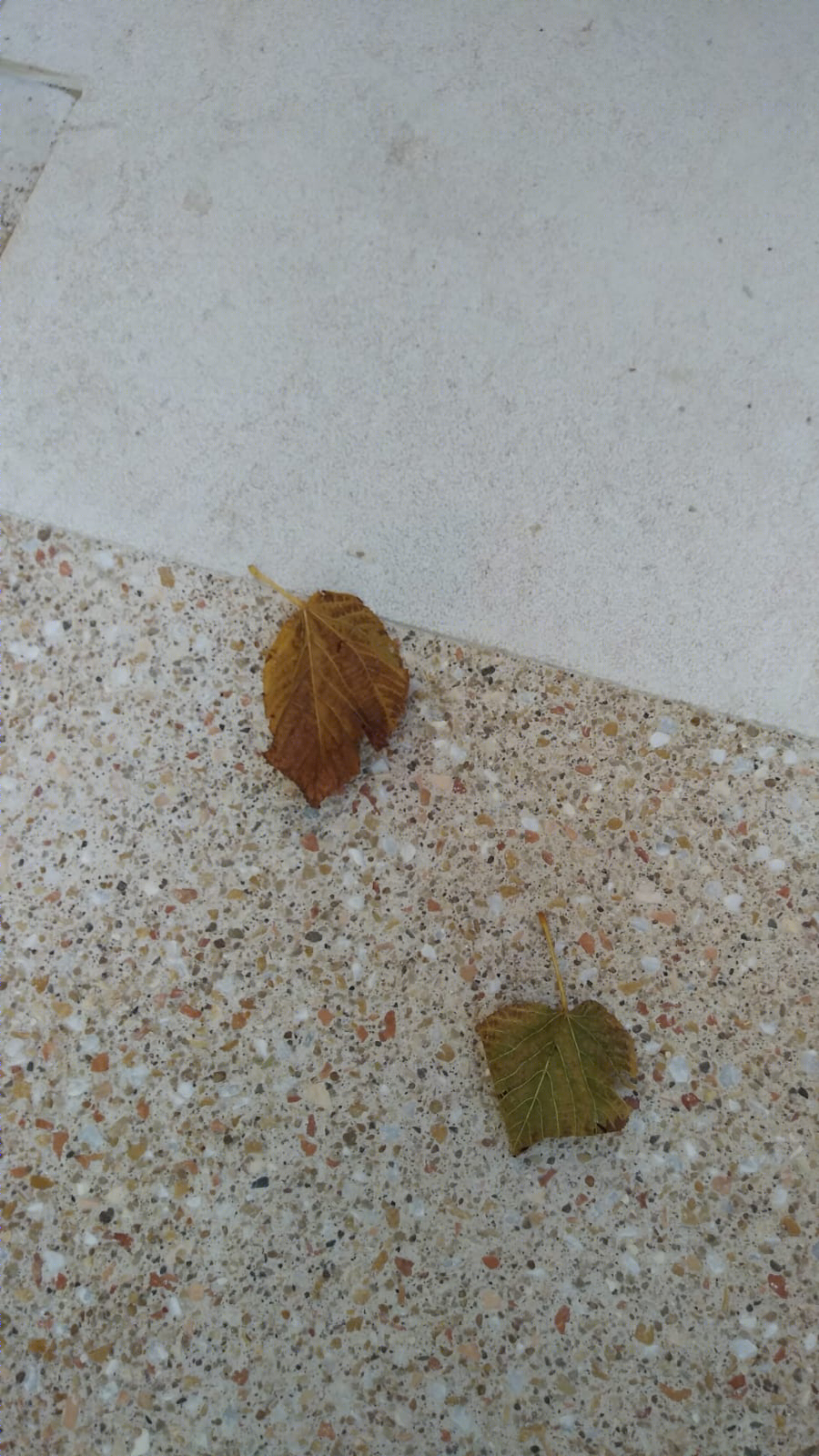 记忆重生 | 意大利 Bivona 市广场剧院设计-21