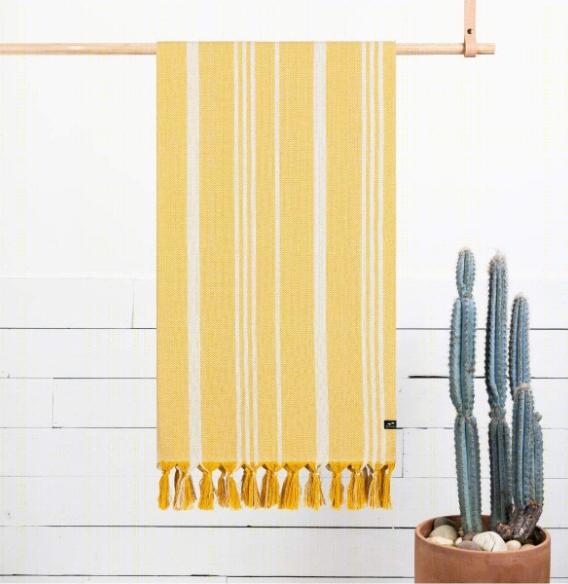 无窗办公室的明亮变身 | RB Pharma 葡萄牙总部设计-37