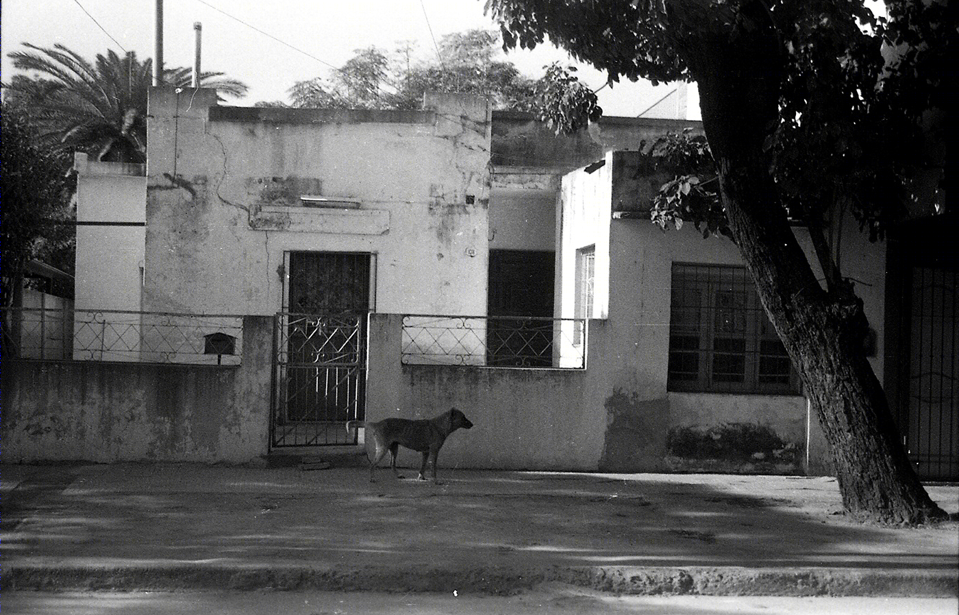 AGFA APX-7