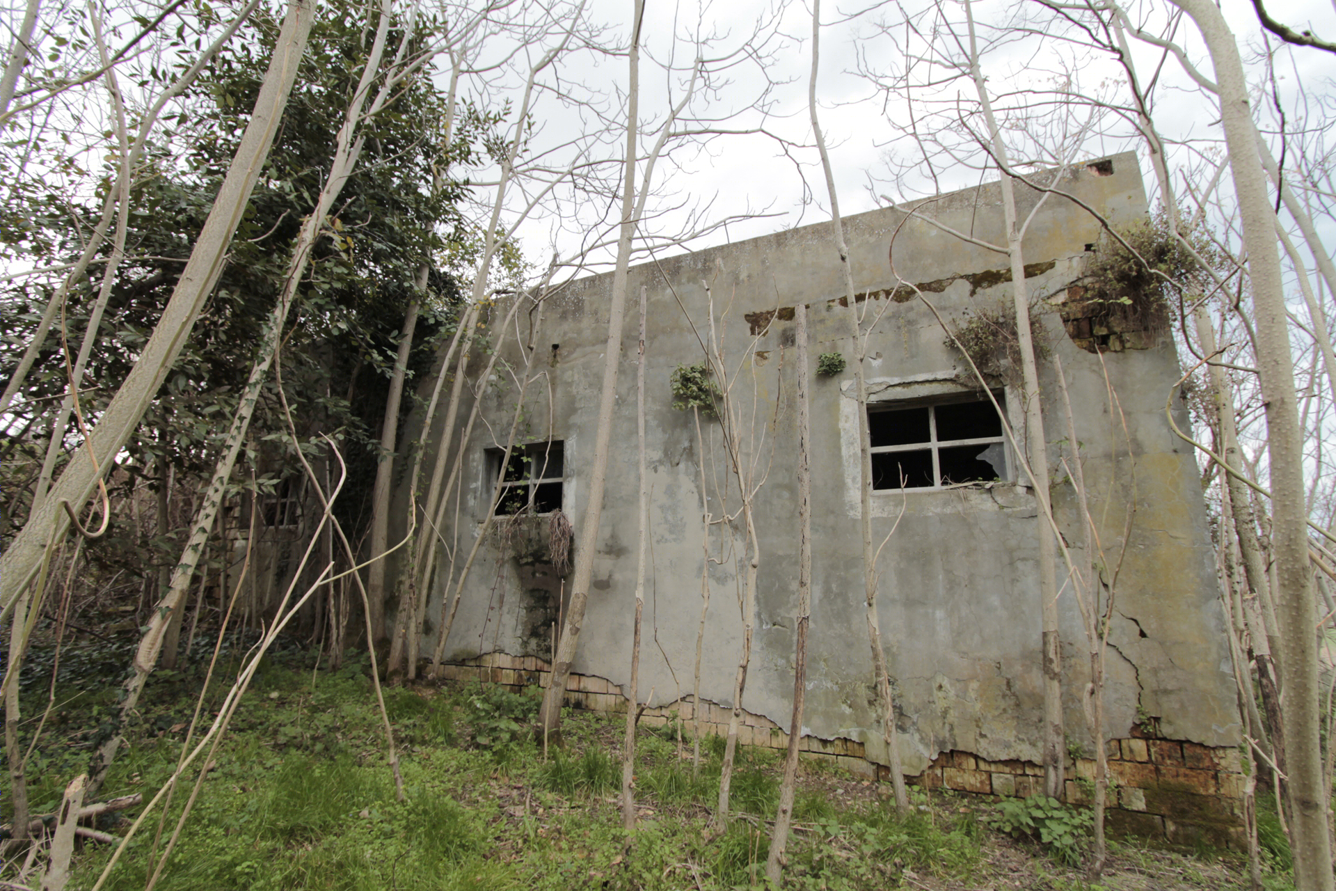 古宅新生，海景乡村家园梦-20