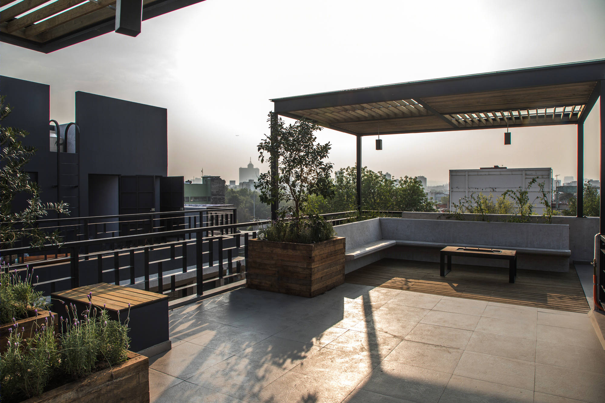 墨西哥城罗马社区 Coahuila 59 公寓楼-13