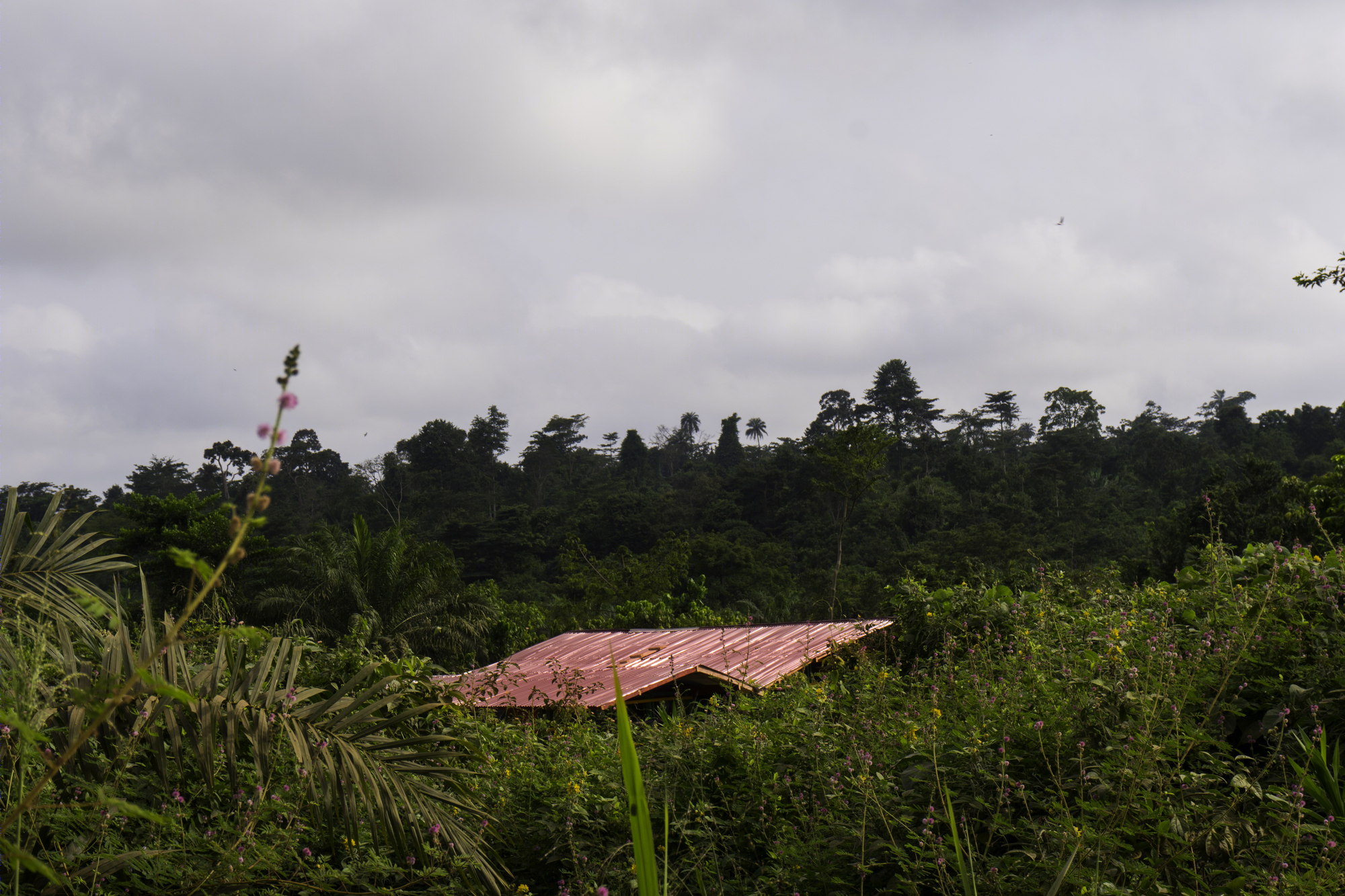 Ghana 高中土建教室 | 融入本土文化的绿色设计-1