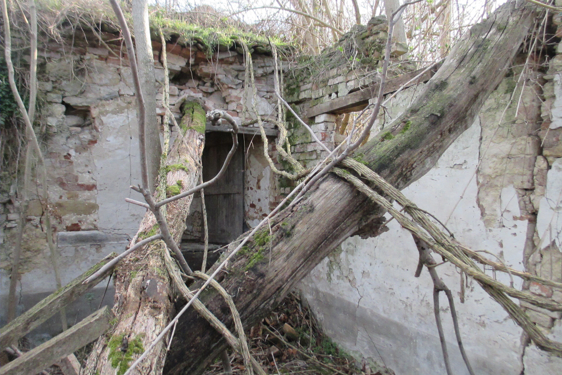 古宅新生，海景乡村家园梦-22