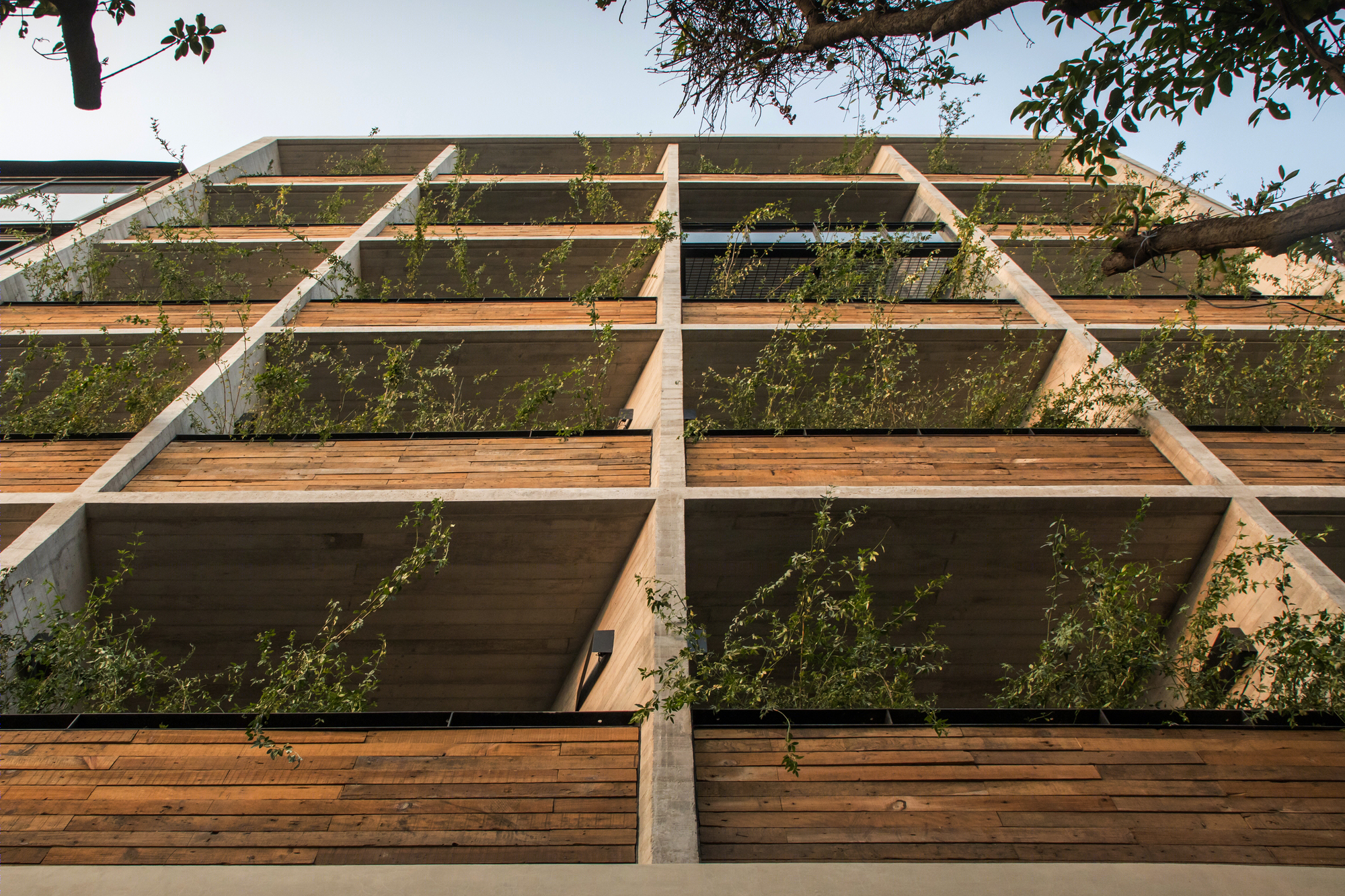 墨西哥城罗马社区 Coahuila 59 公寓楼-15